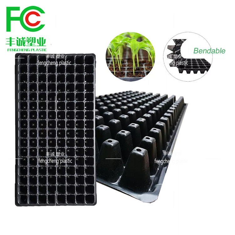 Brand new black seedling tray for flowers, succulent vegetables, melons, and fruits