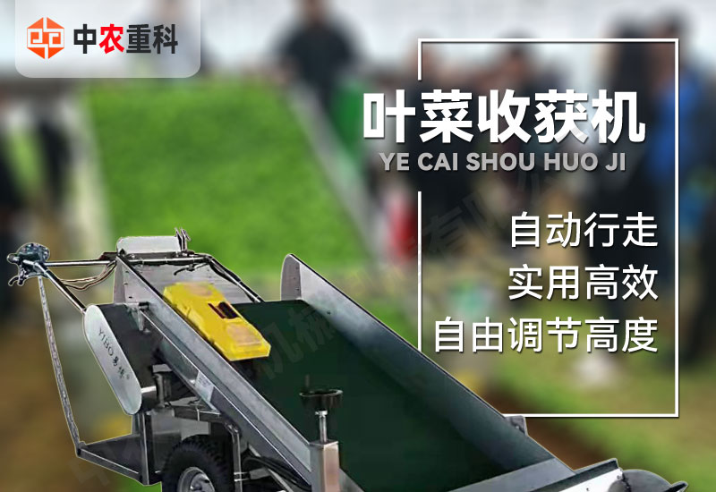 Small leafy vegetable harvester, Zhongnong Heavy Industry Intelligent New Large Area Harvesting Equipment