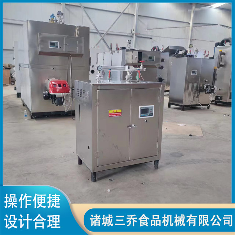 Double door steam generator 48KW electric heating steam boiler stainless steel electric heating steam engine