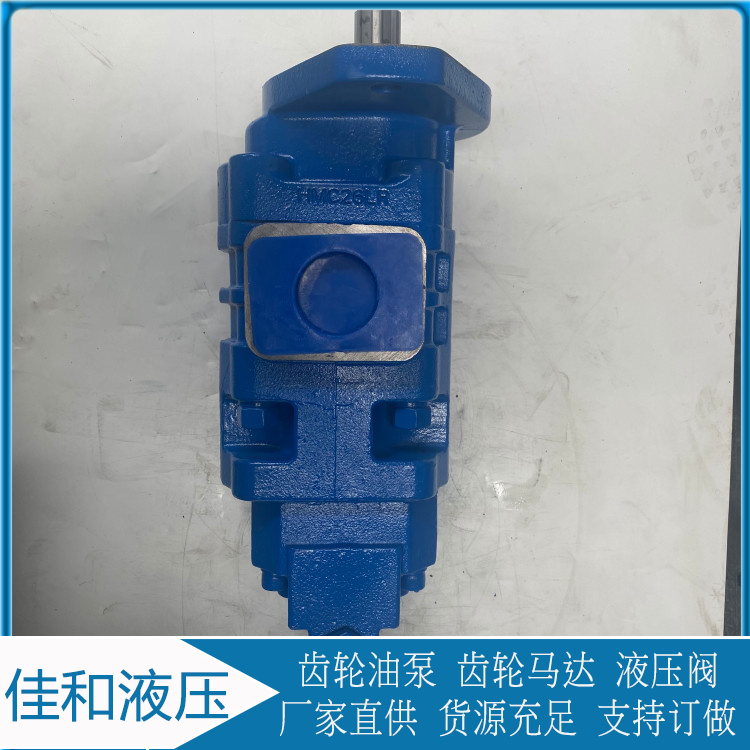 Xuangong 2100-0010 Gear Pump Hydraulic Pump Easy to Maintain and Use Jiahe Hydraulic