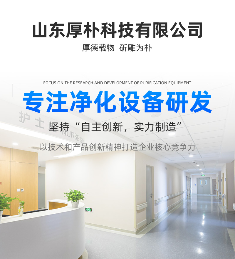 Steel New Energy Clean Purification Door Engineering Hospital Workshop Steel Flat Opening Medical Purification Room Door