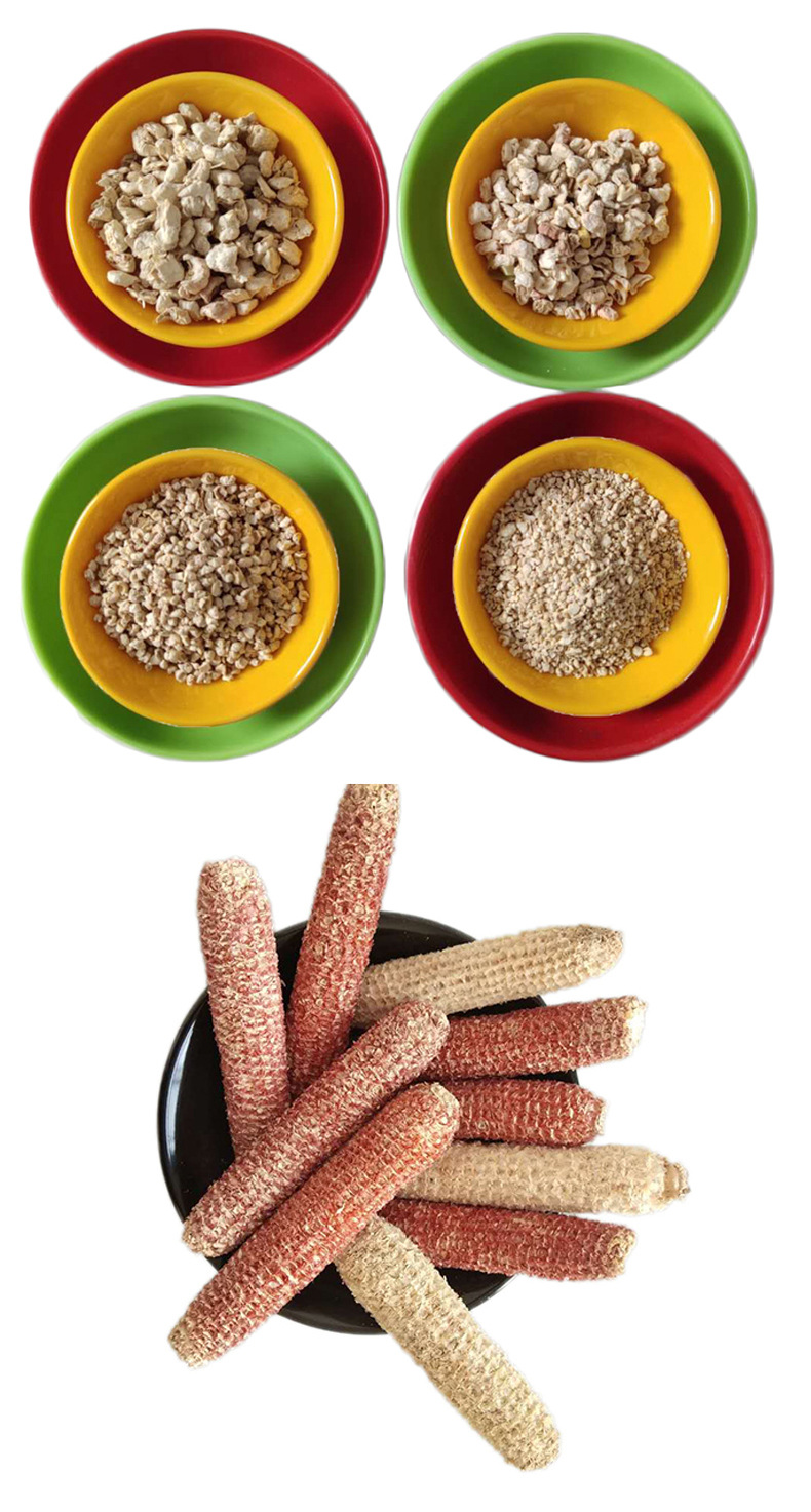 Polished corn cob Yiran supplies pet bedding particles, powder, feed grade edible mushroom cultivation in stock