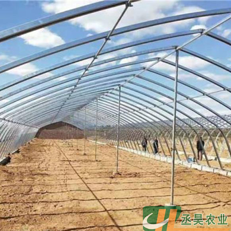 C-shaped greenhouse with double film framework and steel framework, Chenghao agricultural planting and breeding greenhouse framework, galvanized elliptical tube