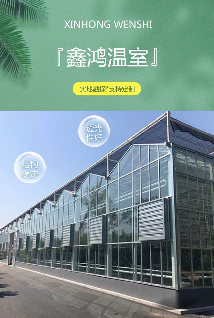 Construction of hot-dip galvanized steel pipe framework for vegetable and flower planting greenhouse in intelligent glass greenhouse with sunlight