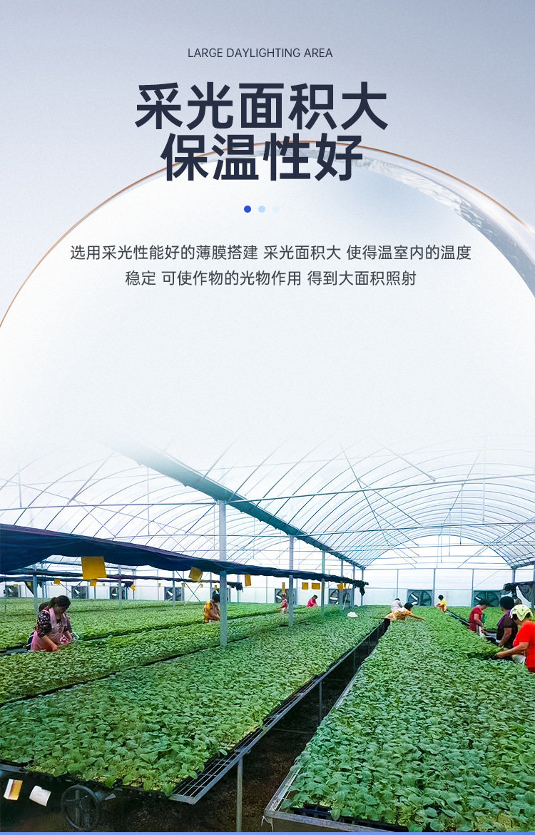 Intelligent Glass Greenhouse New Vegetable Greenhouse Construction with High Light Transmittance and Short Installation Period