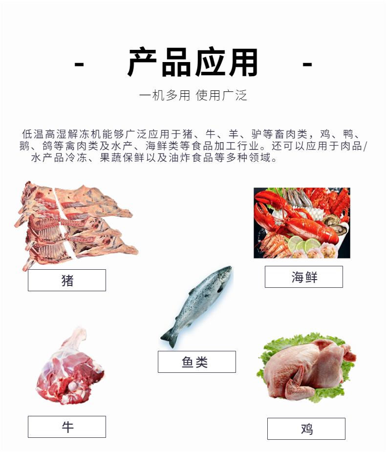 Customized large-scale meat and seafood thawing equipment with low temperature and high humidity thawing warehouse, low uniform thawing loss rate