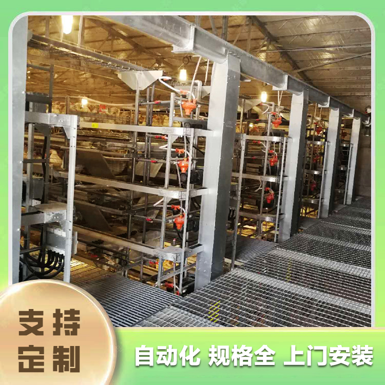 Longhai Chicken Farm Equipment Longhai Chicken Farm Equipment Automatic Feeding Equipment Quotation for Egg Chicken Meat Chicken Breeding Equipment Egg Chicken Cage Breeding Equipment Manufacturer