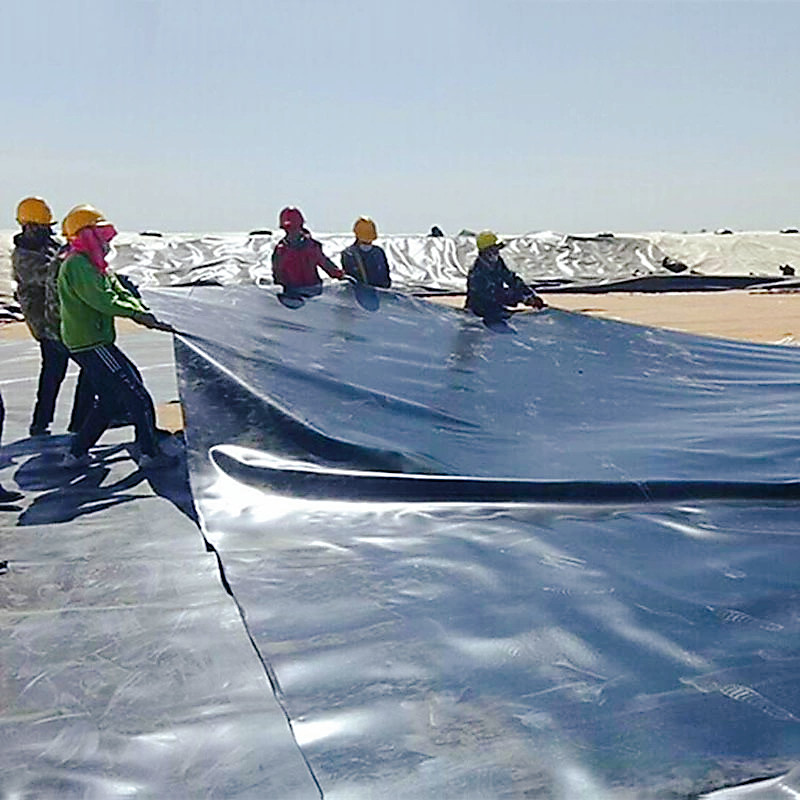 High density polyethylene HDPE geomembrane double rough surface landfill anti-seepage membrane Yingyue