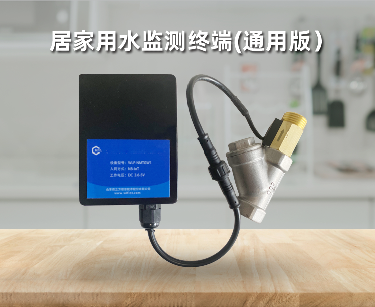 Home water monitoring terminal IoT NB IoT water flow collection alarm mobile remote notification