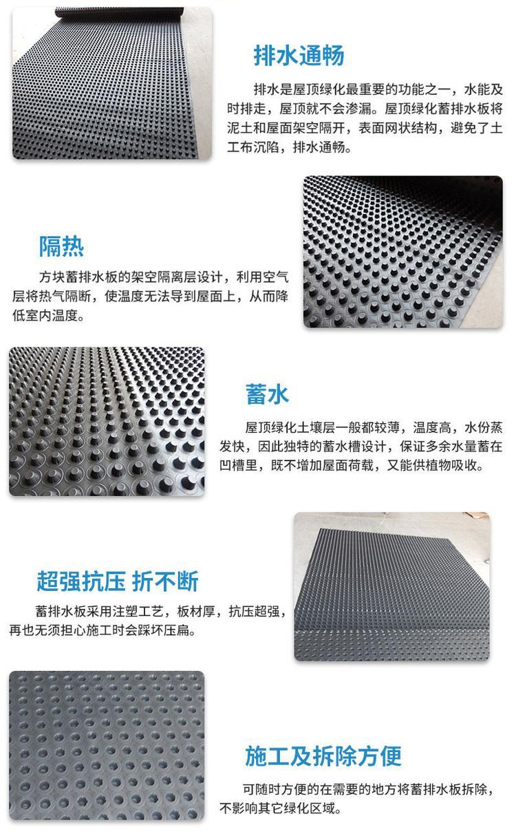 Polyethylene plastic drainage board, Dongwu 14mm garage roof drainage board, root puncture and aging resistance