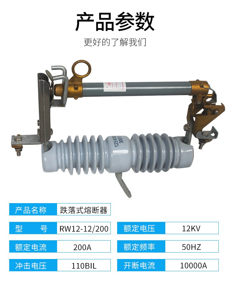 Changgao High Voltage Power RW12-12/100 Outdoor Dropout Fuse 10-12KV-200A Export Type