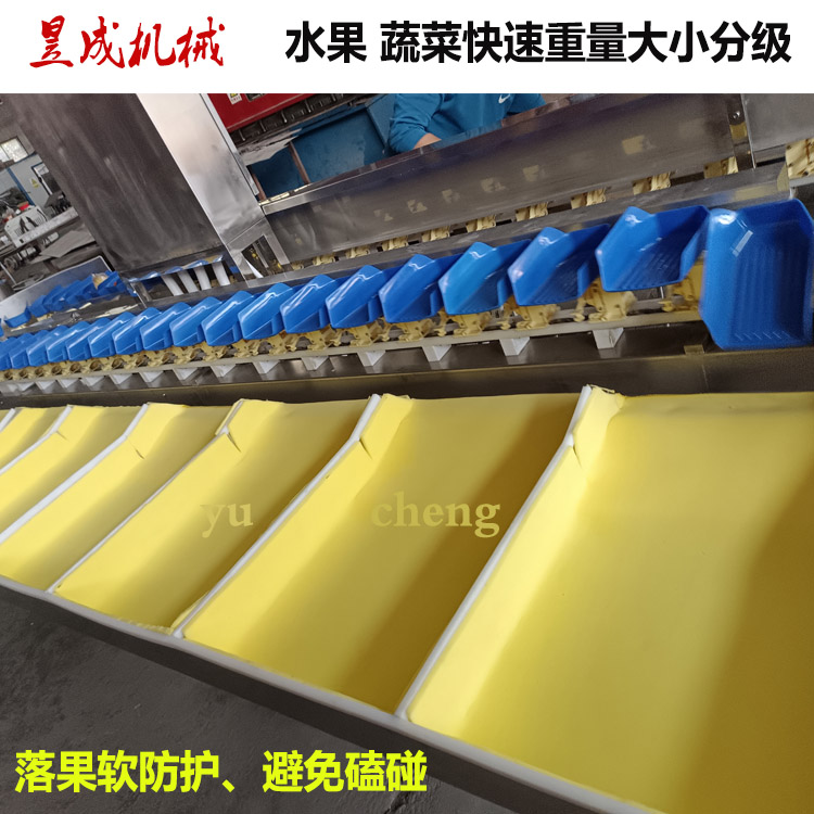 Yucheng betel nut automatic sorting machine sea cucumber traditional Chinese medicine weight grading accuracy high speed pear pomegranate fruit sorting machine