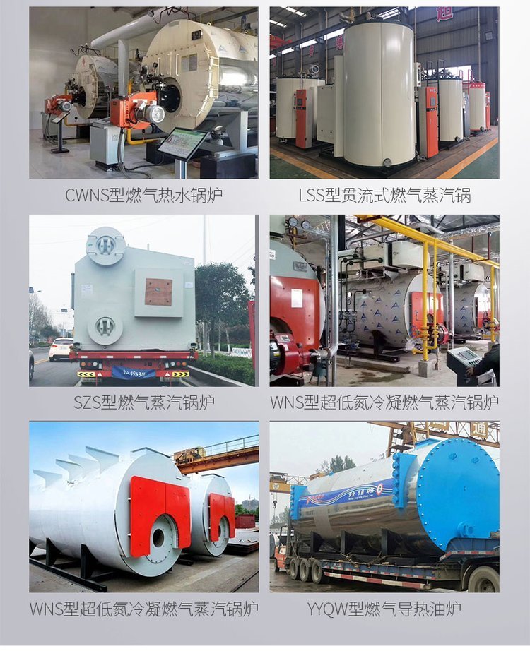 Cement pipe factory FTSG1.5-0.7-1.5 ton biomass steam generator