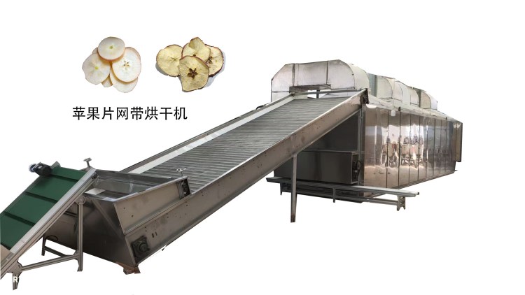 食品网带烘干机 不锈钢苹果片网带式烘干机器 带式流水线烘干设备