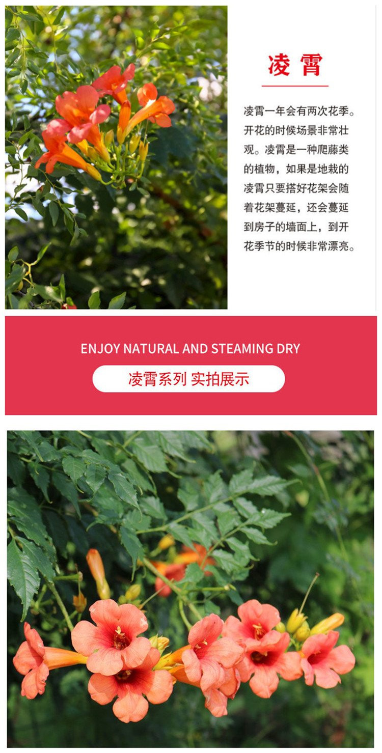 Explanation of 0.8cm Lingxiao Seedling Fertilizer and Water Irrigation Technology with Good Performance in Provincial Artificial Climbing and Fertilization for Garden Construction