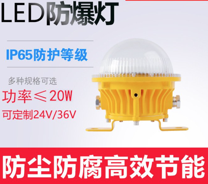 20W LED explosion-proof ceiling lamp, tunnel lighting fixtures for cold storage tunnels, durable and cost-effective