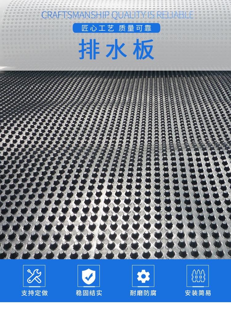 Wuhan Construction Engineering HDPE Filter Board Composite Geotextile Drainage Board 2cm Drainage Board