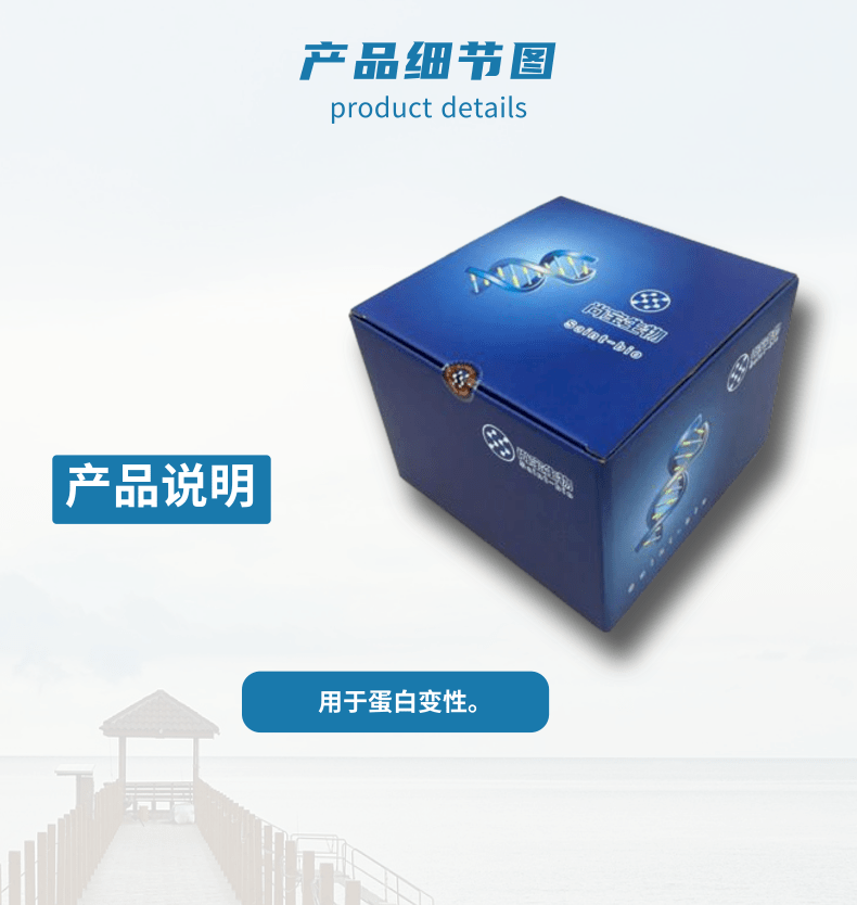 Laemmli sample buffer（2×）尚宝生物 Laemmli sample 科研试剂 产品关键词:bufferL试剂