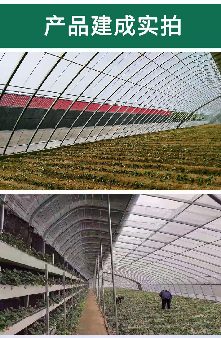 Tai You Yi Building Materials Simple Film Greenhouse, Single Insertion Greenhouse, Arch Greenhouse, Agricultural Seedling Cultivation, Flower Cold Greenhouse Installation