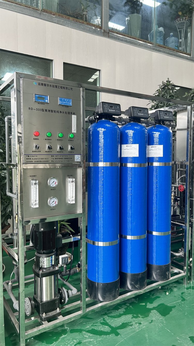 0.5吨双级反渗透水处理设备 纯净水设备 小区学校直饮水过滤系统