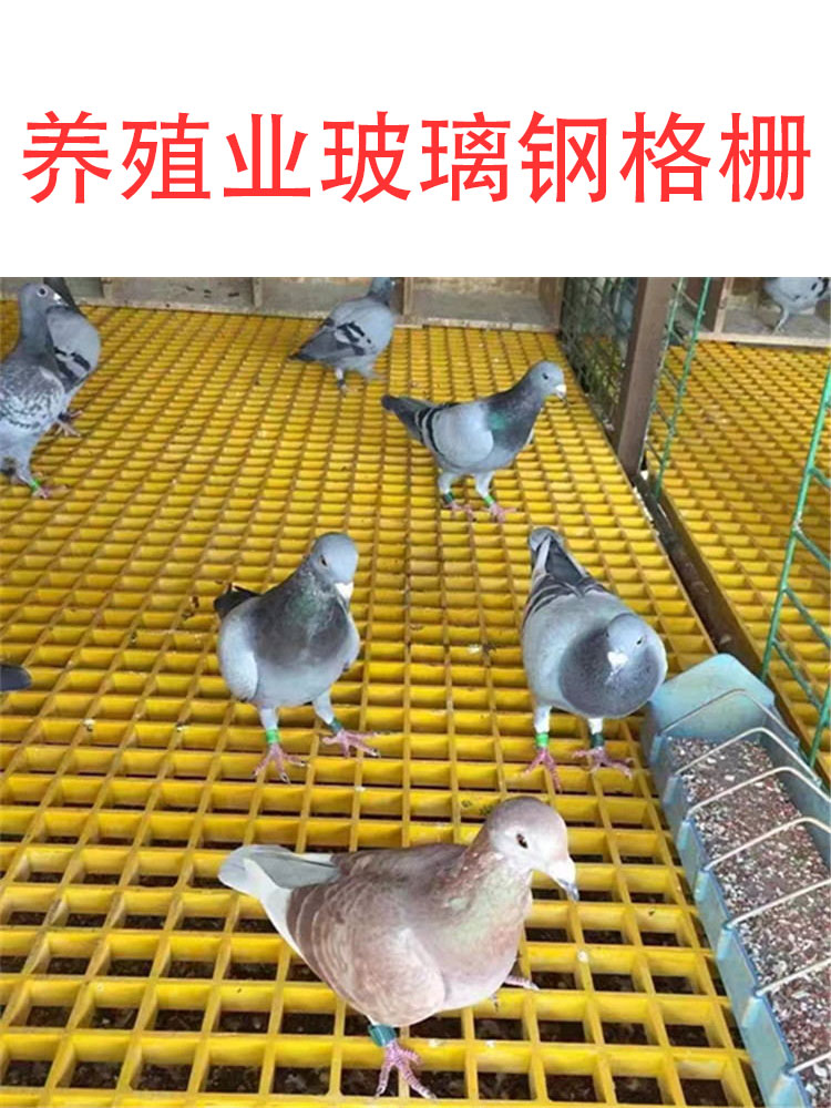 Pigeon house floor grid, fiberglass grating, grid board, Jiahang 25 long strip manure leakage board for aquaculture industry