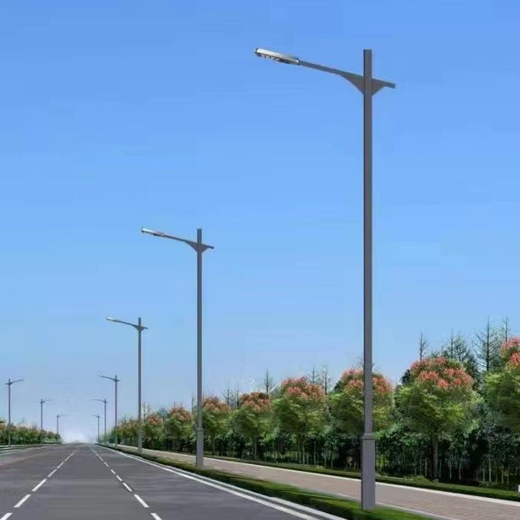 Rural Road Lighting Features City Circuit Light Pole 50-120 Watt Super Bright Arm Street Lamp Source Factory