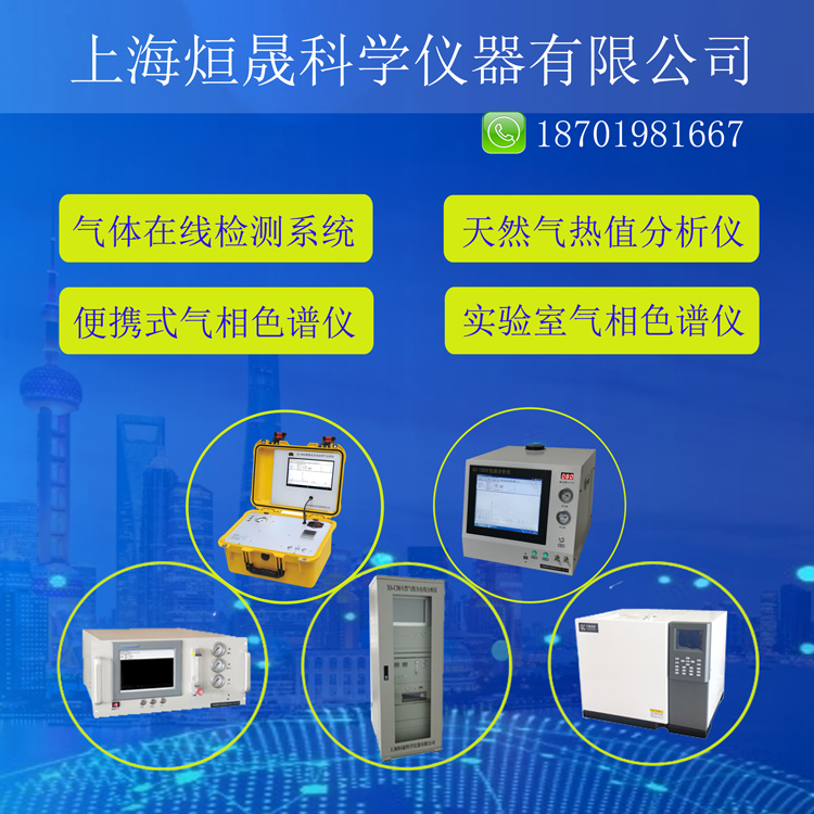 Online natural gas analysis Gas chromatograph Real time gas analysis cabinet Chromatograph online analysis system