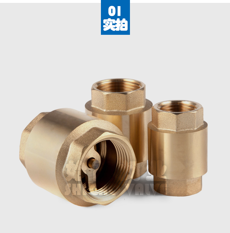 Brass vertical check valve H12X-16 copper wire thread check valve initial high valve