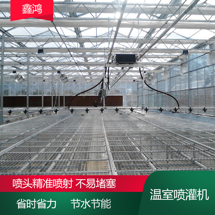 Self propelled round-trip greenhouse seedling watering machine with movable sprinkler head for precise spraying