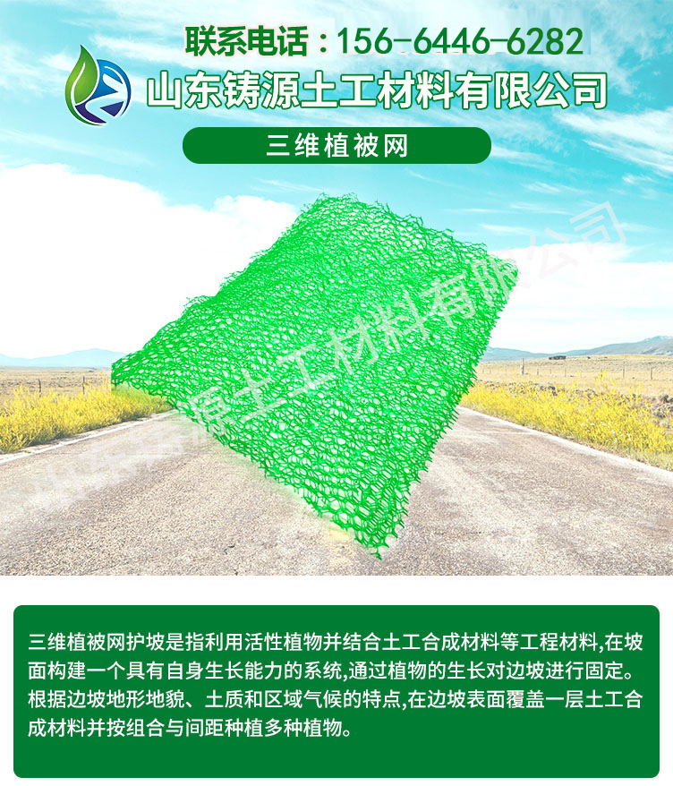 NSS5 Geonet Slope Protection 3D Vegetation Net Anti aging Waterproof Soil Loss