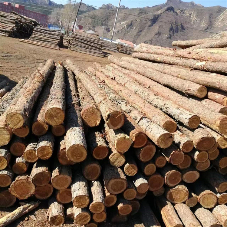 Hongyuan Landscape Wooden Square Pine Piles, Wholesale of Timber, Deciduous Pine, Keel Strips, Customizable for National Shipping