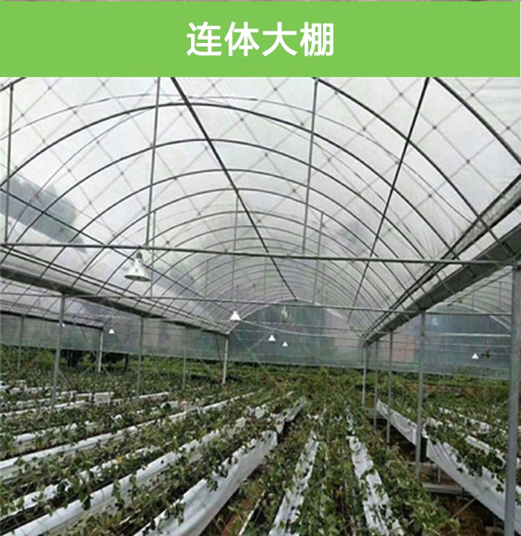 National standard galvanized pipe greenhouse skeleton specifications can be customized for professional construction of circular arch agricultural greenhouse greenhouses