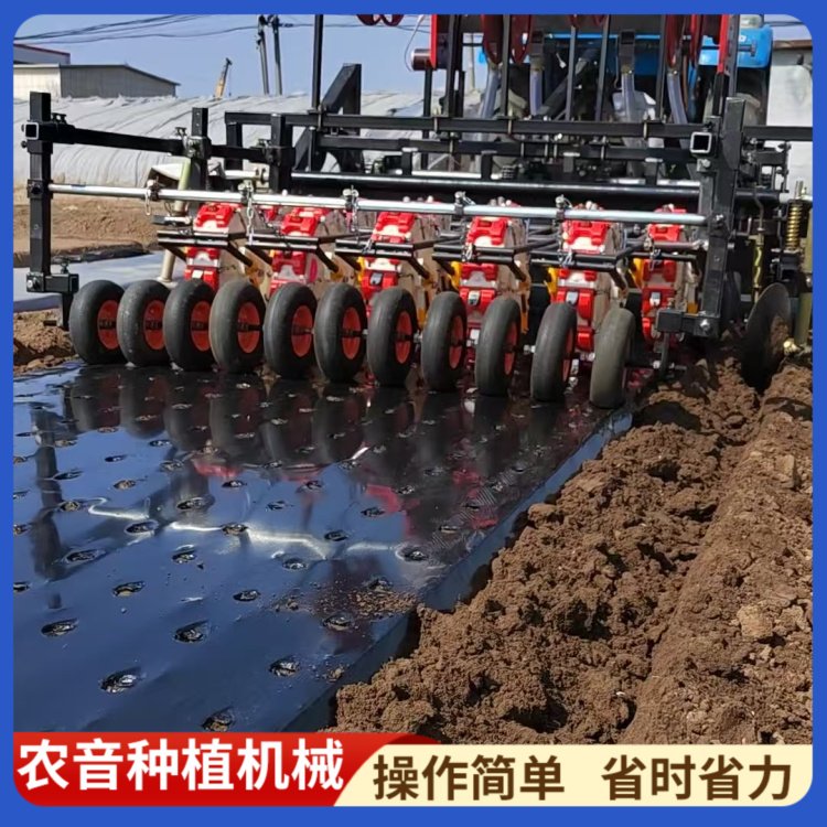紫苏种植机械 规格多样 操作简单 自动化程度高 欢迎来电
