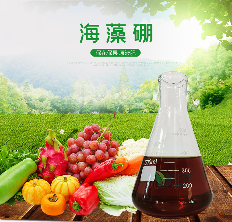 Seaweed boron liquid with high content of water-soluble boron fertilizer for fruit preservation and fruit setting, sold as polyphenols